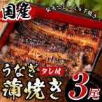 うなぎ白焼き 3尾