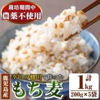 ダイシモチ もち麦 200g×5袋