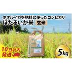 ほたるいか米 無洗米5kg