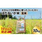 ほたるいか米 玄米10kg
