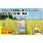 ほたるいか米 無洗米10kg