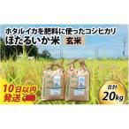 ほたるいか米 無洗米20kg