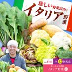 農薬に頼らない カラダにやさしい イタリア野菜セット