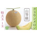 メロン クラウンメロン 山等級 特大玉 1玉