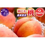 ふるさと納税 池田青果 朝どれ 大玉 桃 約2kg 4〜7玉 農家直送【2026年発送】(IS)B-467 【桃 もも モモ 令和8年発送 期間限定 山梨県産 甲州市.. 山梨県甲州市