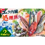 旬の地魚セット2kg エラ 内臓処理済 五島FF