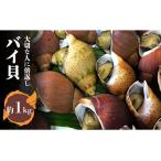 五島産バイ貝 1kg