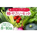 何が届くかはお楽しみ 椿やさいの野菜セット