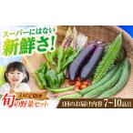 旬の野菜7-10品目 野菜 やさい 詰め合わせ セット