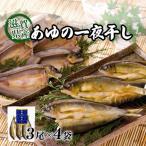 あゆの一夜干し 3尾×4袋