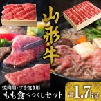 山形牛 もも 食べつくし セット モモ