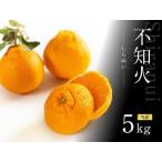 有田育ちの濃厚 不知火 訳あり 5kg