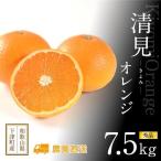厳選 清見オレンジ 赤秀 7.5kg