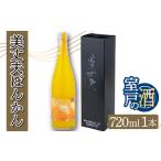 美丈夫ぽんかん720ml