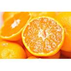 ショッピングふるさと納税 先行予約 ふるさと納税 ［先行予約］完熟早生みかん 家庭用 約5kg S〜SSSサイズ混合 和歌山県海南市