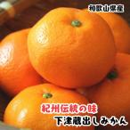 下津 蔵出し みかん 5kg