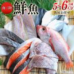 鮮魚 詰め合わせ 魚屋お任せ 南三陸お楽しみ鮮魚 セット
