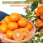 紀州有田産濃厚完熟温州みかん 5kg