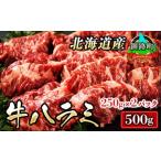 ふるさと納税 焼肉食材専門店トリプリしおた「北海道産　牛ハラミ」(250g×2パック)_大容量 小分け 徳用パック 国産 希少 牛肉 焼肉 サガリ .. 北海道釧路町