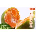 極早生有田みかん2.5kg+250g