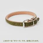 首輪goodcollar犬猫ペット用品首輪