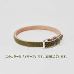 首輪goodcollar犬猫ペット用品首輪