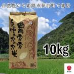 米びつ ひのきとトタンの米びつ 10kg