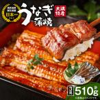 1387 大隅特産 うなぎ蒲焼 3尾