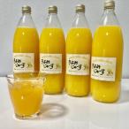 無添加 贅沢絞りの清見オレンジストレートジュース1000ml×4…