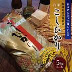 令和7年産 コシヒカリ 白米 5kg