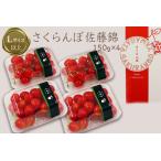 秀品 さくらんぼ佐藤錦約600g L以上 150g×4パック詰