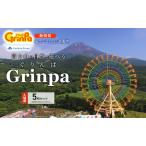 入園券 遊園地ぐりんぱ Grinpa 富士山
