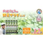 野菜セット ホワイトミニセルリー サラダほうれん草