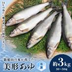 鮎 あゆ 箱根の水 川魚