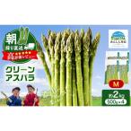 グリーンアスパラ 特選 原農園 朝採り