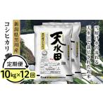 27-10ZE 黒川産コシヒカリ10kg 5kg×2袋