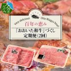 百年の恵み おおいた和牛 づくし定期便 T10005