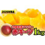 ショッピングふるさと納税 マンゴー ふるさと納税 【2026年発送】南国の果物　沖縄県産マンゴー　赤キーツ　1kg 沖縄県南風原町