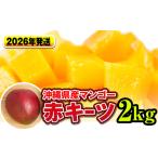 ショッピングふるさと納税 マンゴー ふるさと納税 【2026年発送】南国の果物　沖縄県産マンゴー　赤キーツ　2kg 沖縄県南風原町