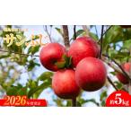 No.1232 菱沼農園 りんご サンふじ 約5kg