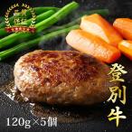 登別牛100%使用ハンバーグ 120g×5個