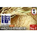 ふるさと納税 玄米 北