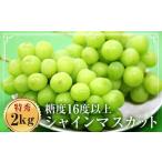 ショッピングふるさと納税 シャインマスカット ふるさと納税 福島県伊達市産 特秀 シャインマスカット 2kg以上（3~4房） F20C-128 福島県伊達市
