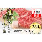 神戸牛 極厚サーロイン ハーフ 250g