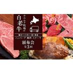 牛肉 ハンバーグ 定期便 頒布会 全3回 お楽しみ
