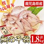志布志湾天然桜鯛の干物 計1.8kg