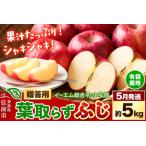 ふるさと納税  【26年5月クール便発送】りんご 贈答用 葉取らず ふじ 約5kg（有袋栽培・CA貯蔵）EMりんご 青森県弘前市