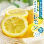 皮まで美味しい農薬不使用レモン 約1kg