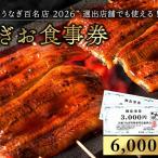 食事券 うなぎ 浜松 24店舗 6000円 レストラン