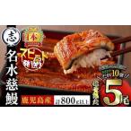 ふるさと納税 短納期 国産うなぎ蒲焼名水慈鰻5尾(合計800g以上) うなぎ 鰻 ウナギ 国産 鹿児島県産 九州産 蒲焼き 冷凍 うな重 ひつまぶ.. 鹿児島県志布志市
